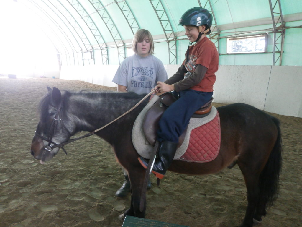 riding ponies